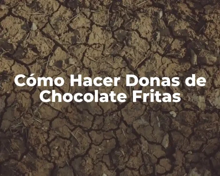 Cómo Hacer Donas de Chocolate Fritas