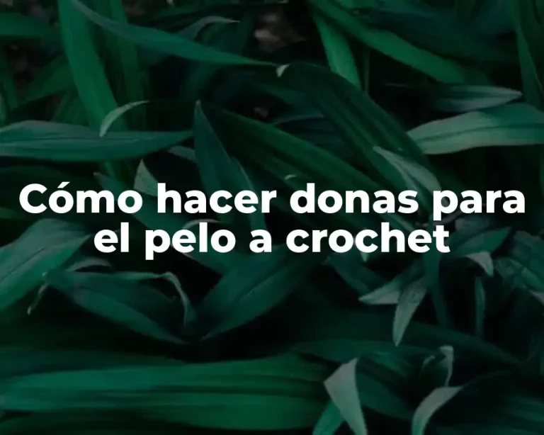 Cómo hacer donas para el pelo a crochet
