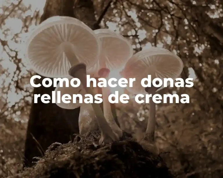 Como hacer donas rellenas de crema