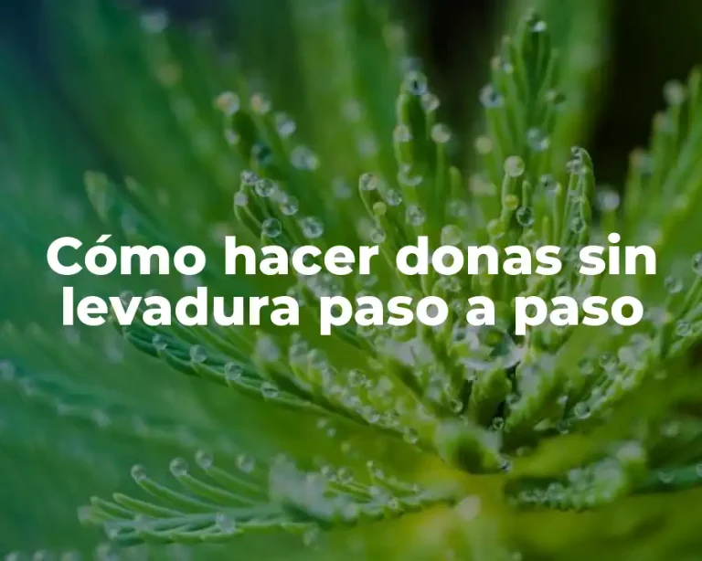 Cómo hacer donas sin levadura paso a paso