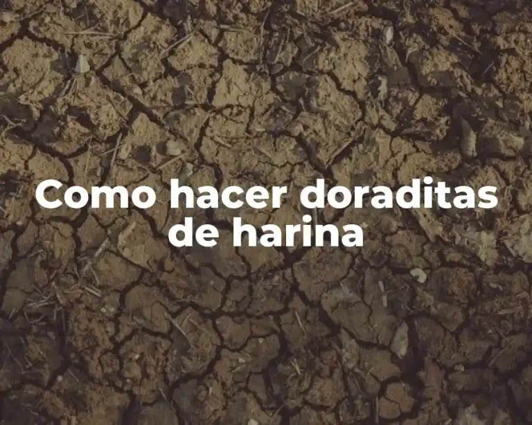 Como hacer doraditas de harina