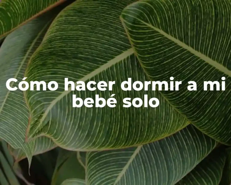 Cómo hacer dormir a mi bebé solo