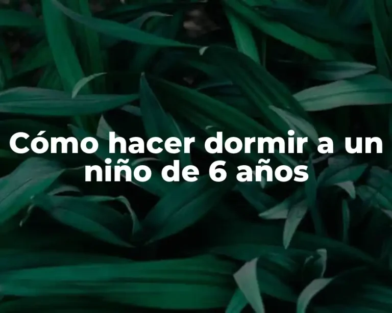 Cómo hacer dormir a un niño de 6 años