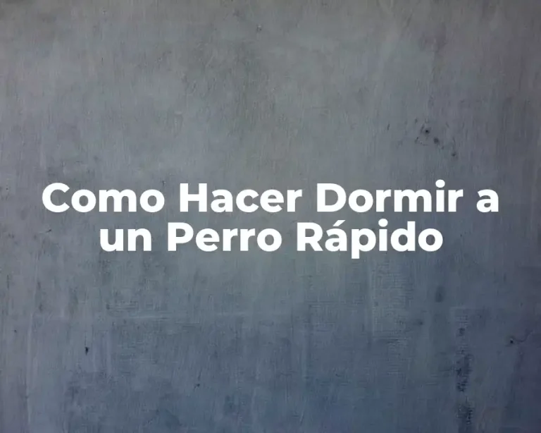 Como Hacer Dormir a un Perro Rápido