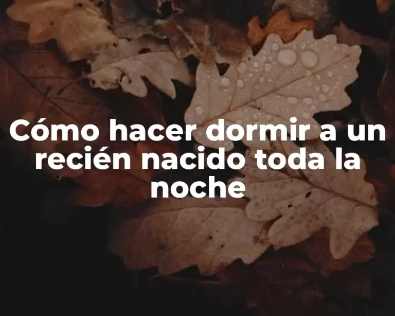 Cómo hacer dormir a un recién nacido toda la noche