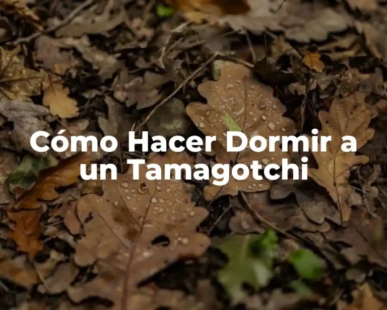 Cómo Hacer Dormir a un Tamagotchi