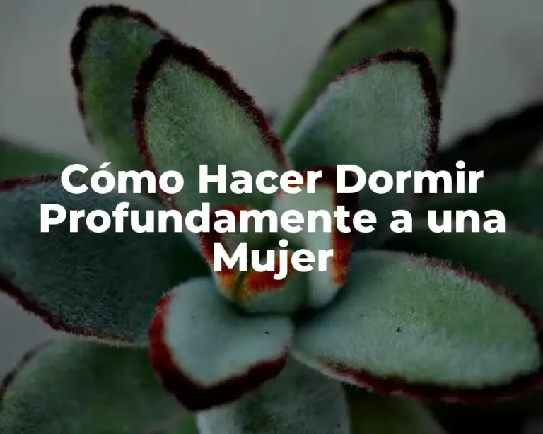 Cómo Hacer Dormir Profundamente a una Mujer