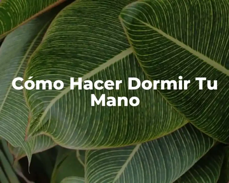 Cómo Hacer Dormir Tu Mano