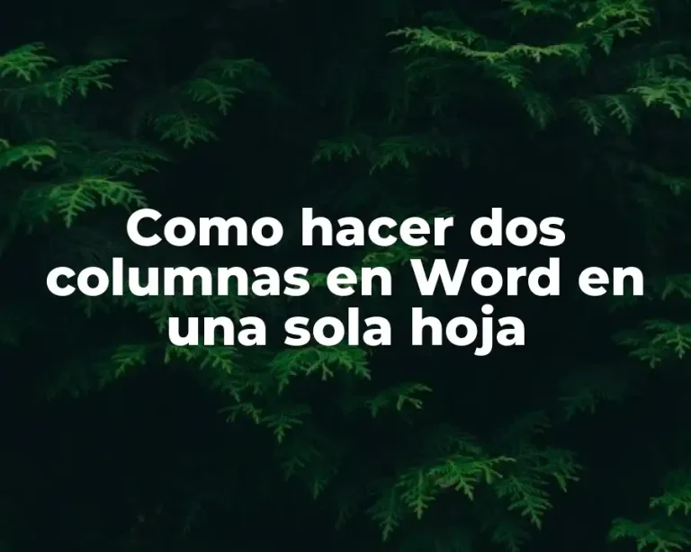 Como hacer dos columnas en Word en una sola hoja