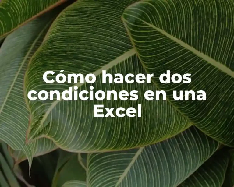 Cómo hacer dos condiciones en una Excel