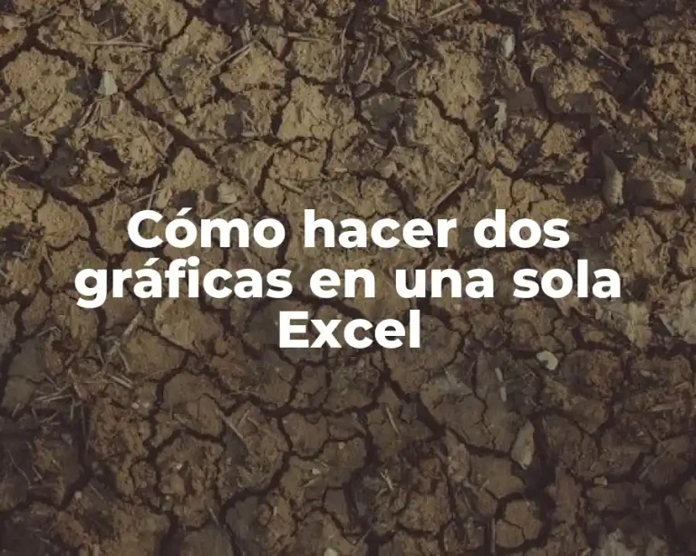 Cómo hacer dos gráficas en una sola Excel