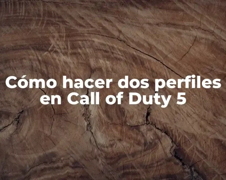 Cómo hacer dos perfiles en Call of Duty 5
