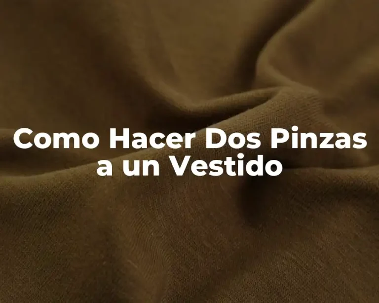 Como Hacer Dos Pinzas a un Vestido