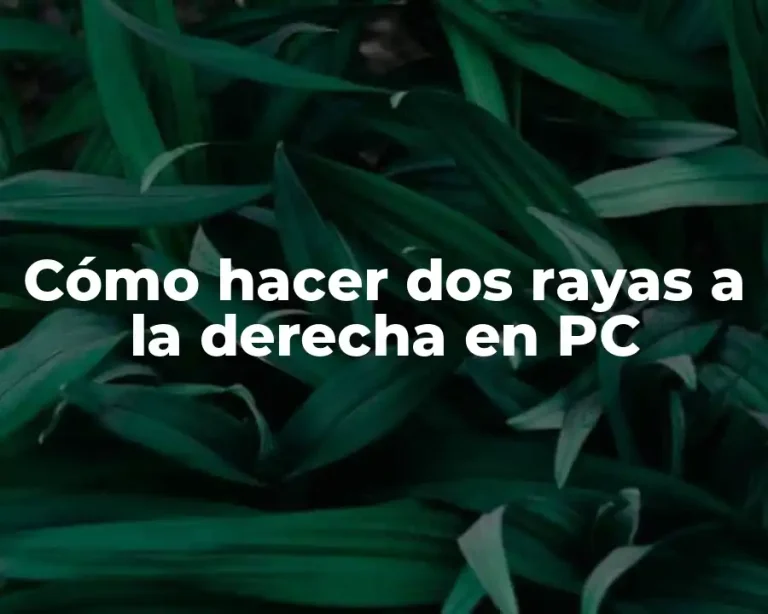 Cómo hacer dos rayas a la derecha en PC