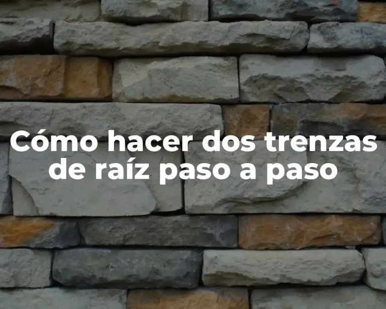 Cómo hacer dos trenzas de raíz paso a paso