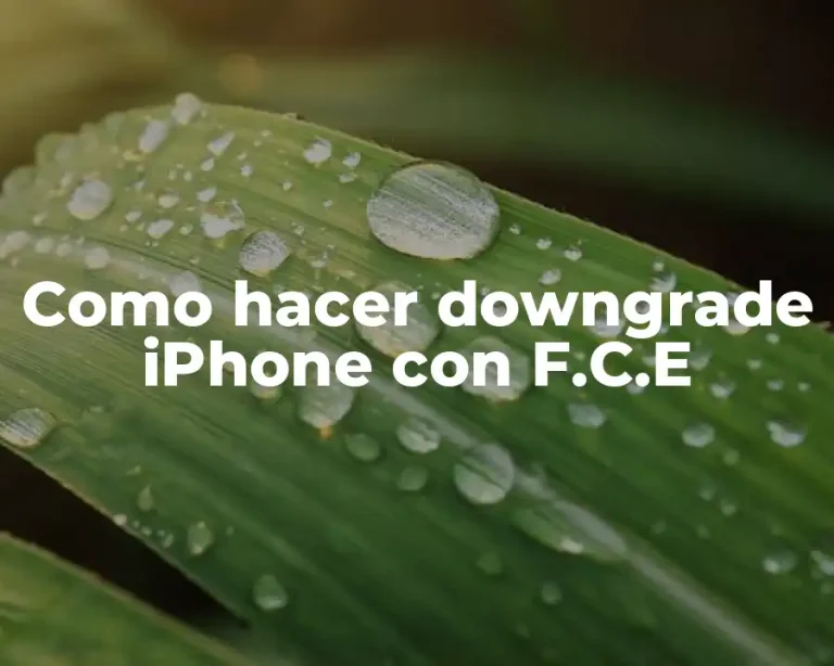 Como hacer downgrade iPhone con F.C.E