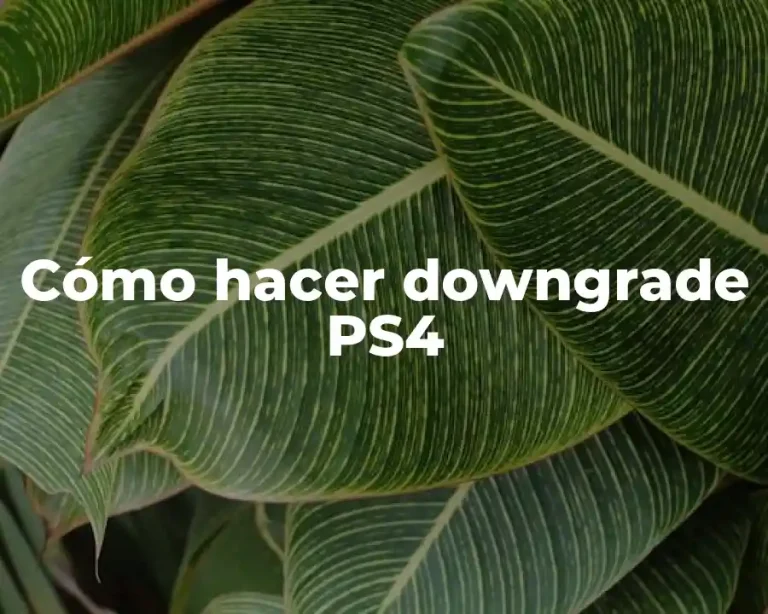 Cómo hacer downgrade PS4