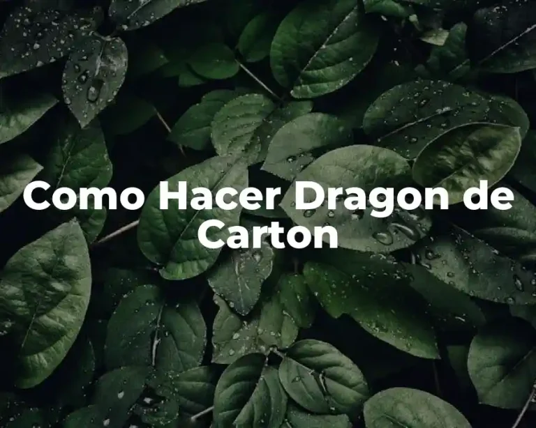Como Hacer Dragon de Carton