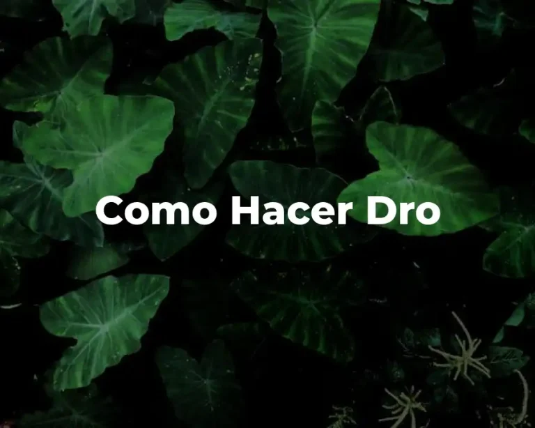 Como Hacer Dro