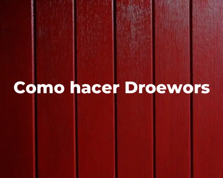 Como hacer Droewors