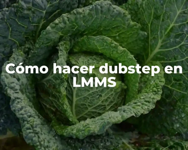 Cómo hacer dubstep en LMMS