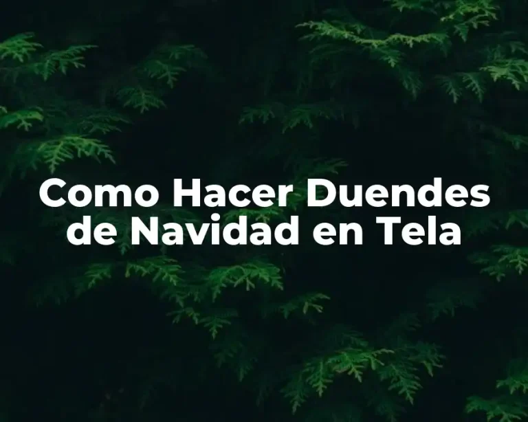 Como Hacer Duendes de Navidad en Tela