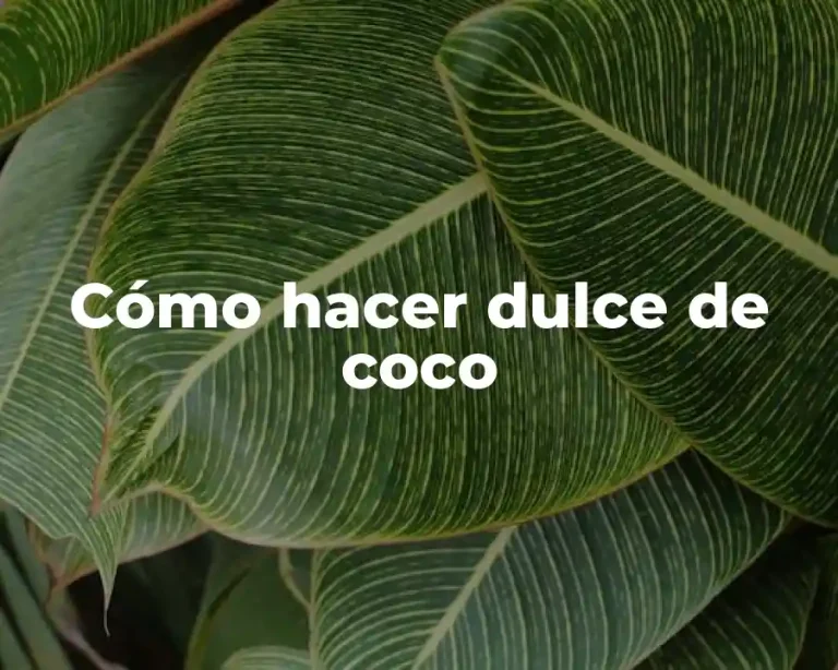 Cómo hacer dulce de coco