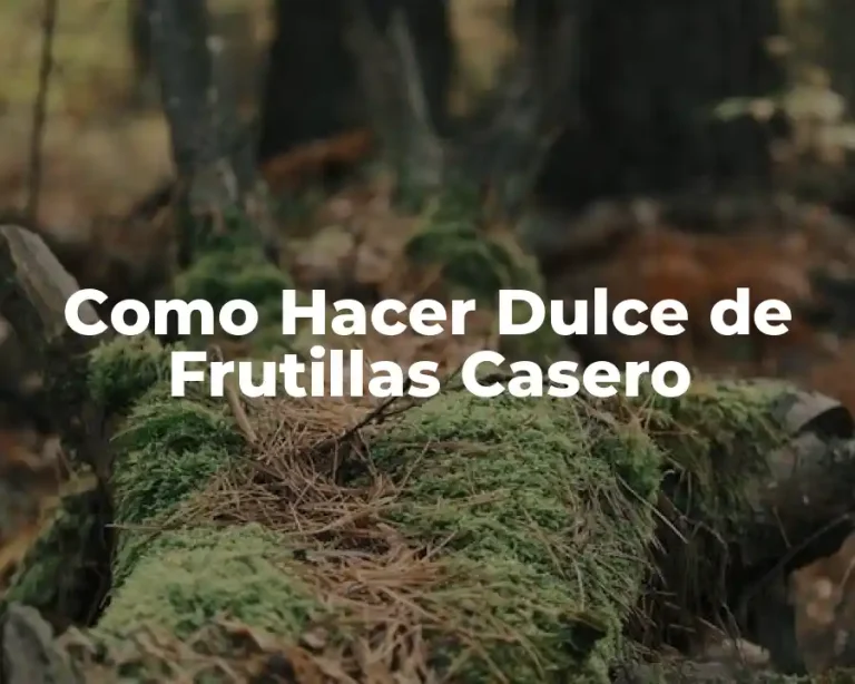 Como Hacer Dulce de Frutillas Casero