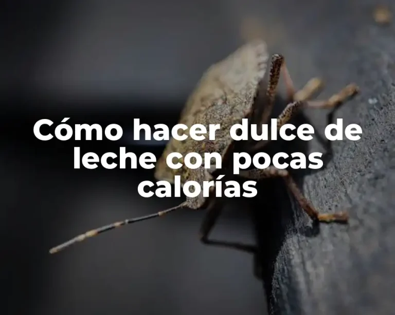 Cómo hacer dulce de leche con pocas calorías
