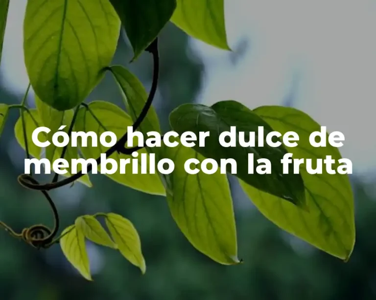 Cómo hacer dulce de membrillo con la fruta