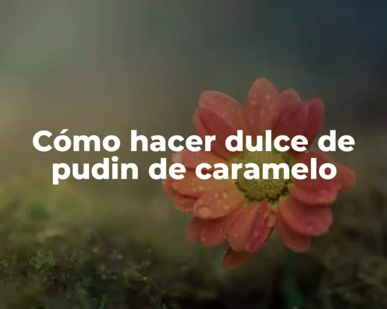 Cómo hacer dulce de pudin de caramelo