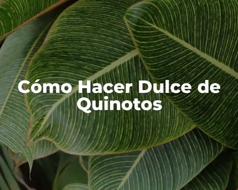 Cómo Hacer Dulce de Quinotos