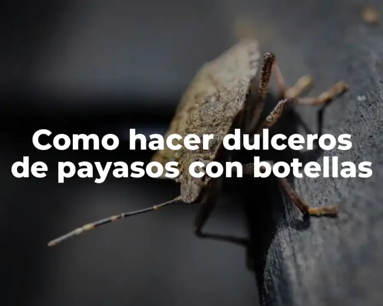 Como hacer dulceros de payasos con botellas