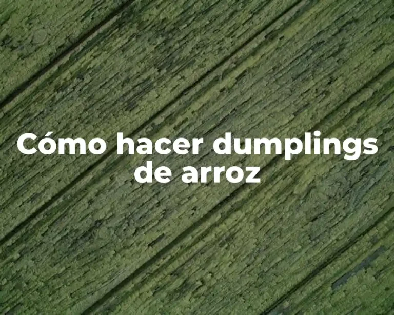 Cómo hacer dumplings de arroz