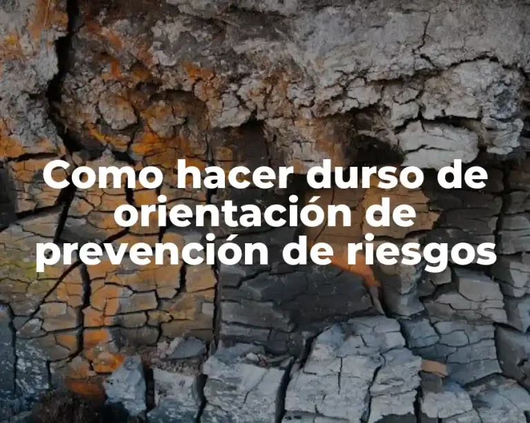 Como hacer durso de orientación de prevención de riesgos