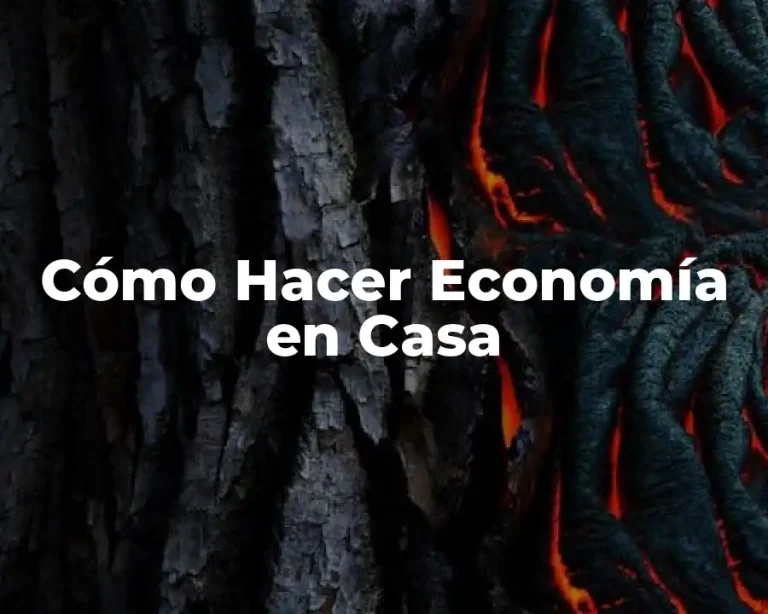 Cómo Hacer Economía en Casa