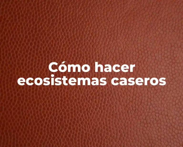 Cómo hacer ecosistemas caseros