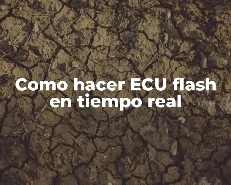 Como hacer ECU flash en tiempo real