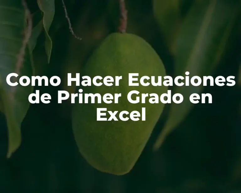 Como Hacer Ecuaciones de Primer Grado en Excel