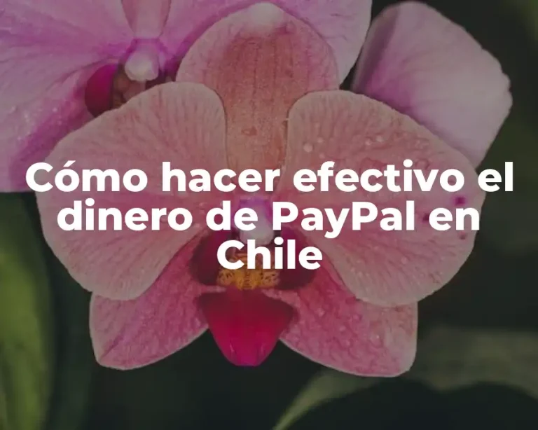 Cómo hacer efectivo el dinero de PayPal en Chile