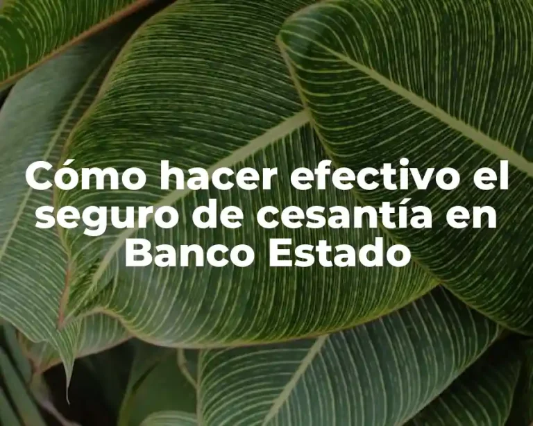 Cómo hacer efectivo el seguro de cesantía en Banco Estado