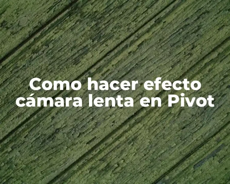 Como hacer efecto cámara lenta en Pivot