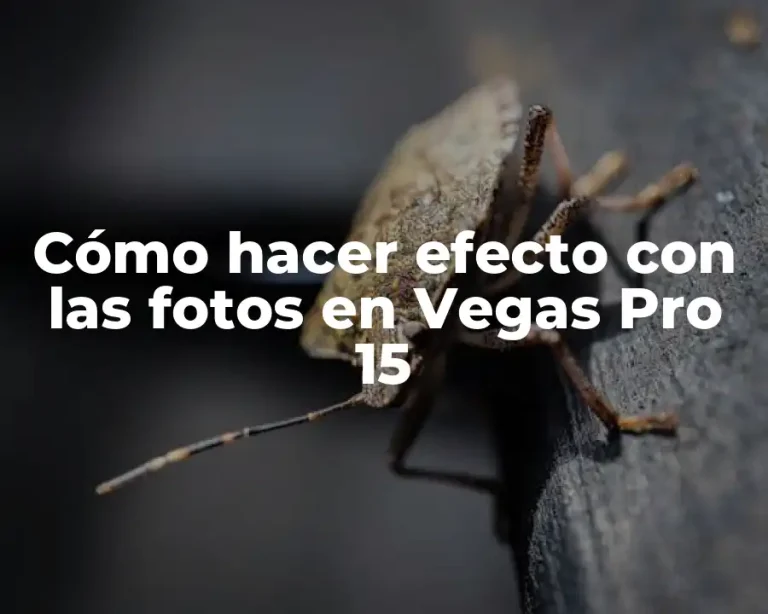 Cómo hacer efecto con las fotos en Vegas Pro 15