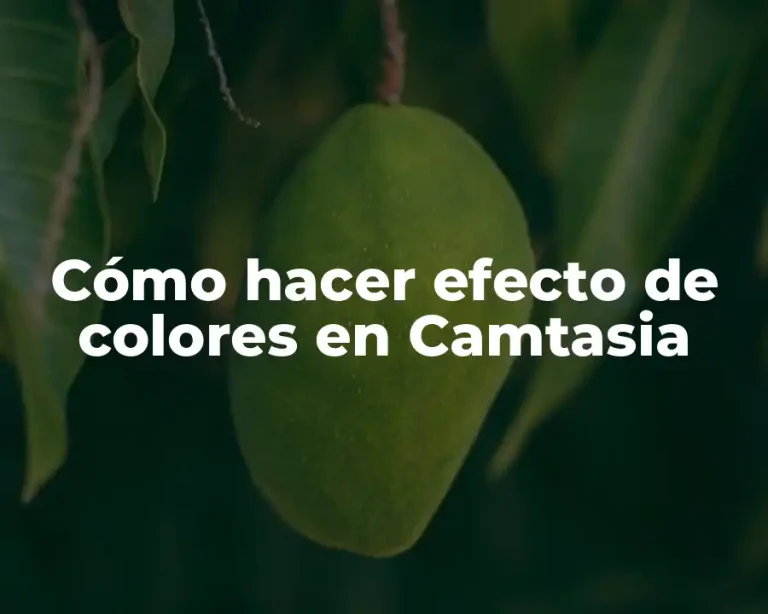 Cómo hacer efecto de colores en Camtasia