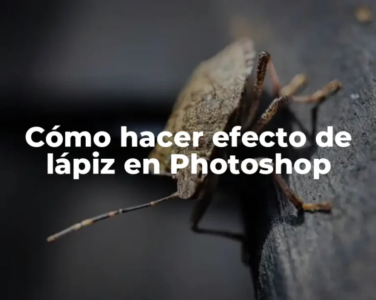 Cómo hacer efecto de lápiz en Photoshop