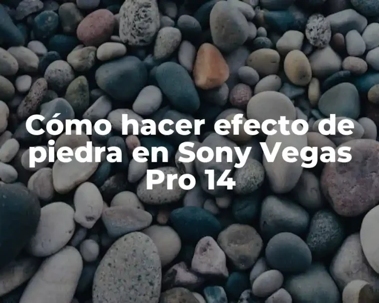 Cómo hacer efecto de piedra en Sony Vegas Pro 14
