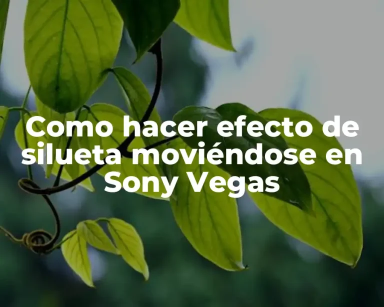Como hacer efecto de silueta moviéndose en Sony Vegas