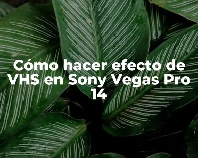 Cómo hacer efecto de VHS en Sony Vegas Pro 14