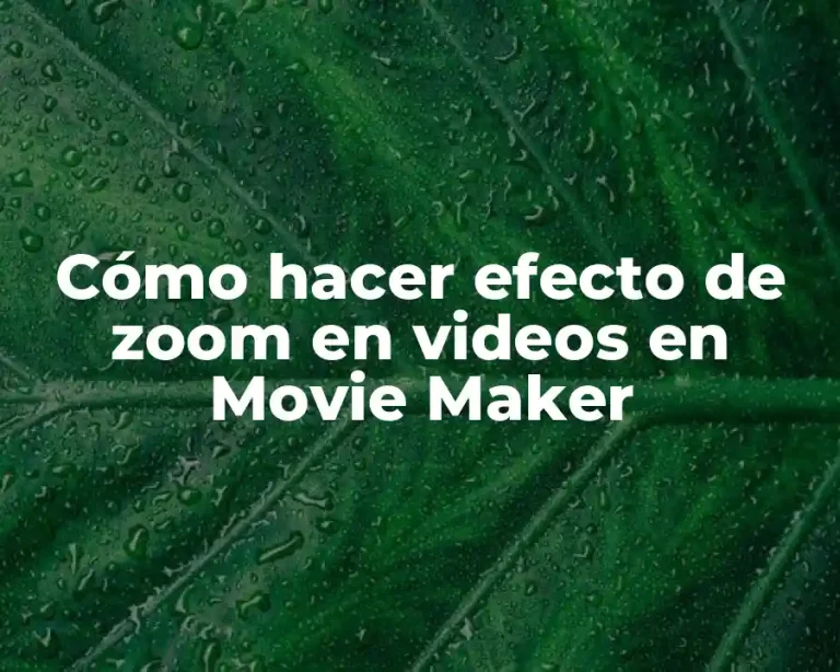 Cómo hacer efecto de zoom en videos en Movie Maker