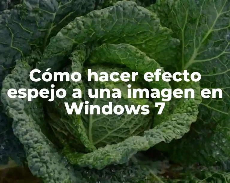 Cómo hacer efecto espejo a una imagen en Windows 7